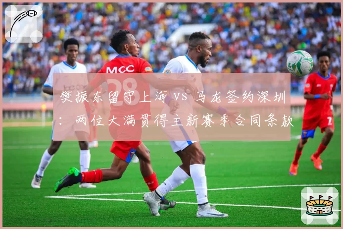 樊振东留守上海 vs 马龙签约深圳：两位大满贯得主新赛季合同条款与球队角色深度解析