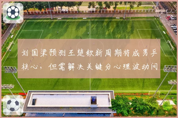 刘国梁预测王楚钦新周期将成男乒核心，但需解决关键分心理波动问题